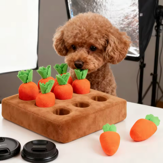 Carrot Patch Puzzle Toy