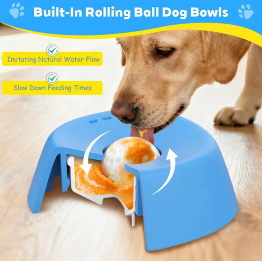 Lick & Spin - Enrichment Toy