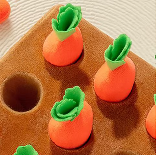 Carrot Patch Puzzle Toy
