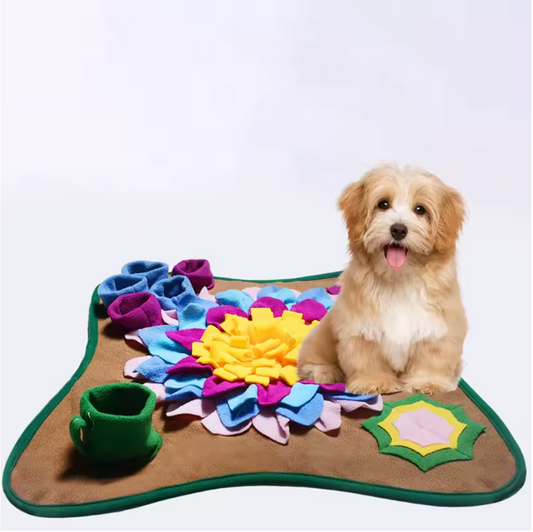 Large Dog Eco-Friendly Snuffle Mat