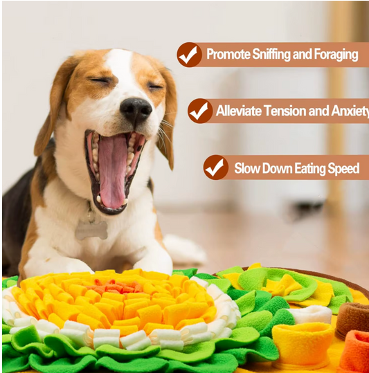 Small & Medium Dogs Snuffle Mat